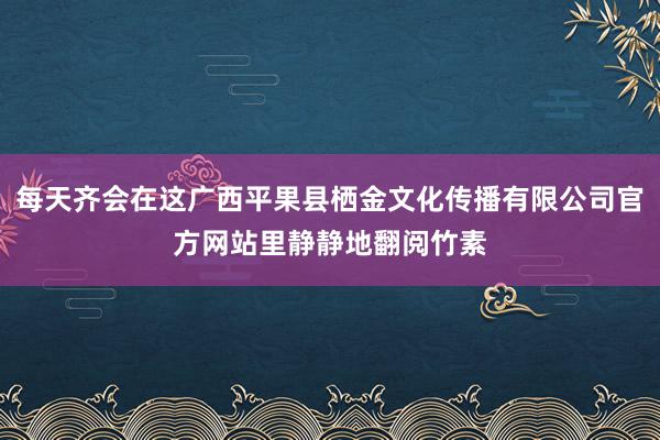 每天齐会在这广西平果县栖金文化传播有限公司官方网站里静静地翻阅竹素